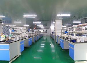 從化復大生物 引領美妝新風尚，解析如何選擇優質化妝品OEM加工廠